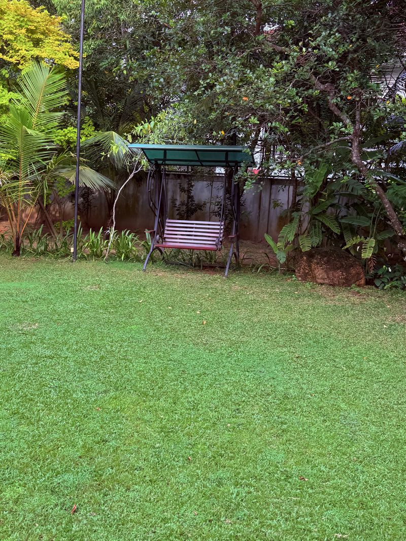 A covered garden swing at the edge of the lawn