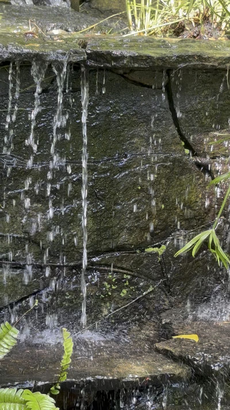 Water falling over dark stone into the garden pond