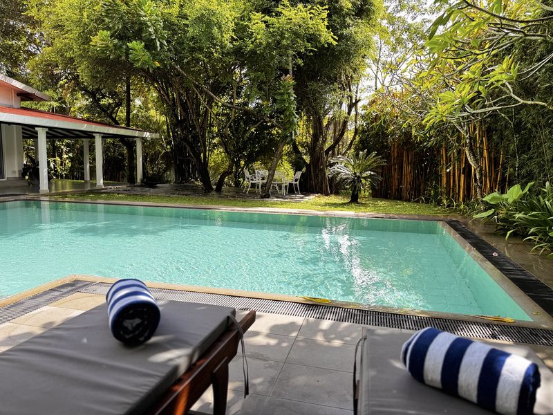 The private pool with sun loungers, framed by tall garden trees