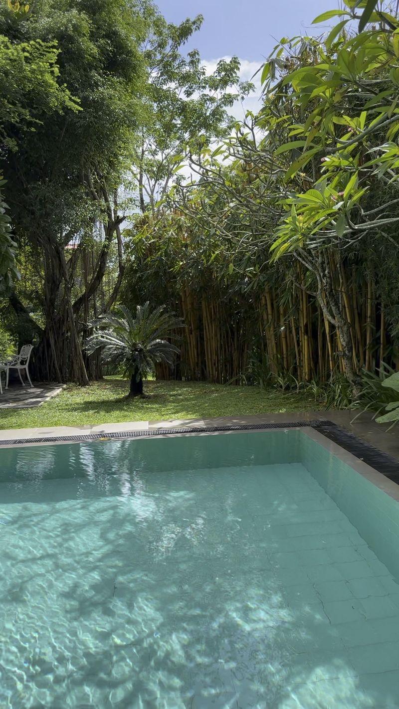 The private pool edged by bamboo and tall shade trees