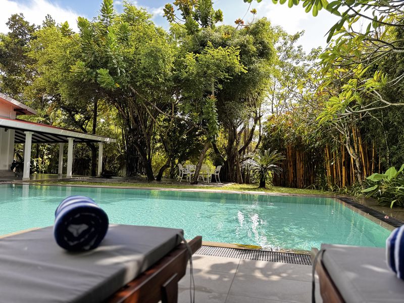 The private pool and loungers, with the white-columned verandah and garden trees